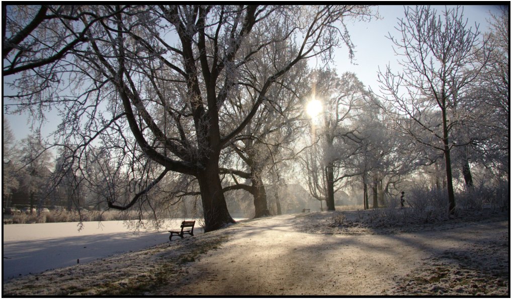 Snow in
Leiden, by Jochem